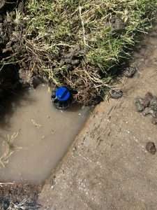 Dallas Irrigation Repair